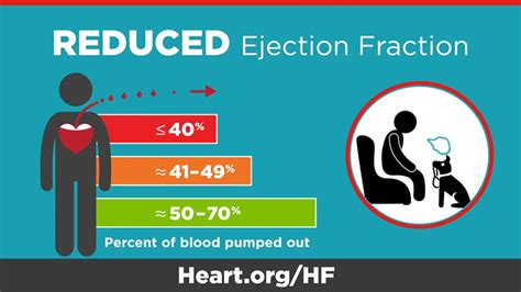 ef hjerte|Ejection Fraction Heart Failure Measurement